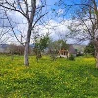 فروش زمین مسکونی در شاندرمن