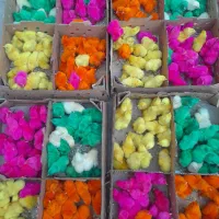 جوجه گلپایگان رنگی اردک صافی