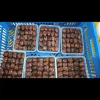 خرما و خمیر خرما و خرمای بدون هسته