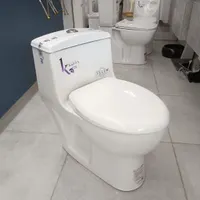 توالت فرنگی خروجی ده واشدان انبار پخش