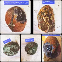 فروش توپی شجر فردوس|جواهرات|فردوس (خراسان), |دیوار