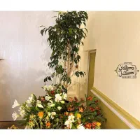 اجاره کافی شاپ