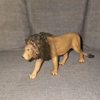 حیوانات collecta . mojo . procon