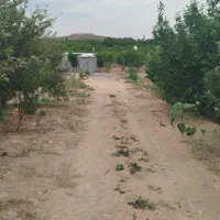 فروش زمین ۳۲۲۲ متری محدود زاینده‌رود شوراب|فروش زمین و ملک کلنگی|فولادشهر, بوستان خلیج فارس|دیوار
