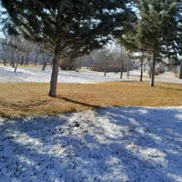 پنجشنبه ها چیکار کنیم خوشحال بشیم