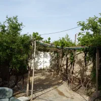 زمین-سفتکاری-شده-نواران