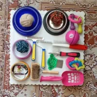 وسایل جانبی حیوانات