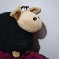 عروسک|اسباب‌بازی بچه|کرمانشاه, |دیوار