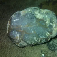 تعدادی سنگ