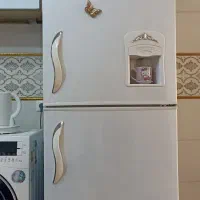 یخچال تمیزو سالم