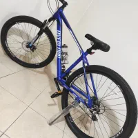 دوچرخه اورلورد سایز 29