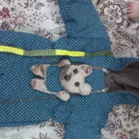 کاپشن سرهمی نوزاد