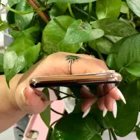 iPhone 11 Pro Max|موبایل|رشت, یخسازی|دیوار