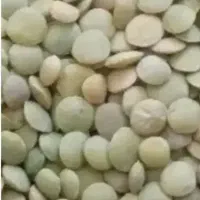 عدس