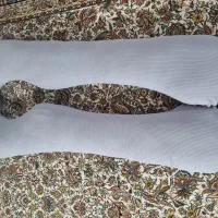 بالشت حاملگی