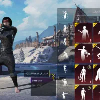 اکانت پابجی خفن پر اسکین