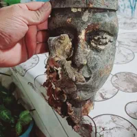 مجسمه چوبی|مجسمه، تندیس، ماکت|گرگان, |دیوار