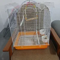 قفس پرنده سالم