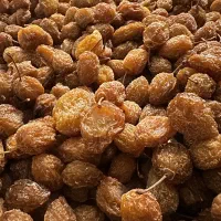 آلو خوانساری درجه ۱
