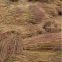 جاروشور|لوازم نظافت|کوهدشت, |دیوار