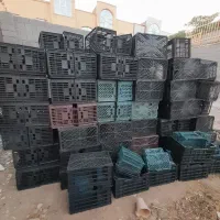 فروش سبد موز|ظروف نگهدارنده، پلاستیکی، یکبارمصرف|شهرضا, |دیوار