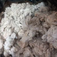 پنبه‌تمیز