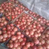 انار شیرین و ملس