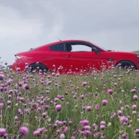 هیوندا کوپه وارداتی اصل معاوزه خودرو
