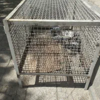 قفس.کبوتر.جفت کن محکم و عمری|پرنده|بروجن, |دیوار