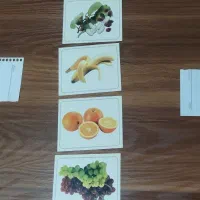 کارشناس گفتاردرمانی