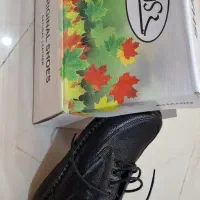 کفش شاهین مدل دلتا