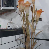 شب چراغ