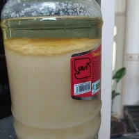 روغن دنبه خالص و ارگانیک