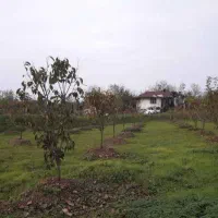 فروش-800مترزمین-روستایی