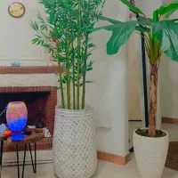 درخت بامبو مصنوعی