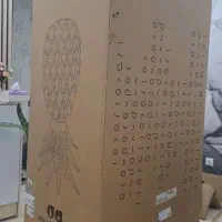 کارتن یخچال فریزر و لباسشویی پاکشوما