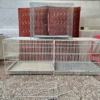 قفس محکم سنگین طوطی عروس گرینچیک کوتوله قناری فنج|لوازم جانبی حیوانات|قم, انسجام|دیوار