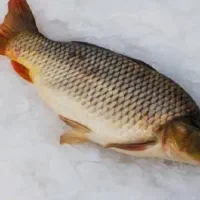 ماه|ماهی|پلدشت, |دیوار