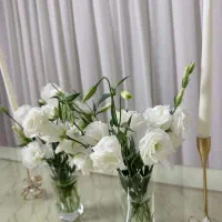 گل طبیعی لیسیانتوس