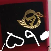پلاک سبک ونمادار