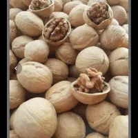 گردو خارجی 63 درصد مغز عمده|خوردنی و آشامیدنی|کوهدشت, |دیوار