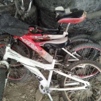 ۳ دورچرخه ۲۰ کارکرده