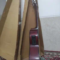 گیتار کلاسیک اصل کره|گیتار، بیس، امپلیفایر|فسا, |دیوار