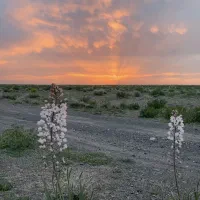 تور مسافرتی یک روزه برای بانوان(خانم هستم)