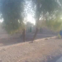 اجاره واحد مسکن روستایی در ریکپوت|اجارهٔ خانه و ویلا|بمپور, |دیوار