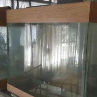 اکواریم