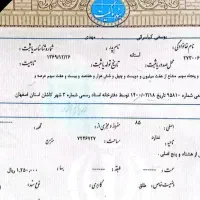 ۲ عدد زمین ۲۵۰ متری