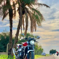 Cb1300