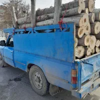 خریدار انواع چوب الات|خدمات باغبانی و درختکاری|گرمی, |دیوار