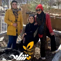 طراحی سایت فروشگاهی و شرکتی